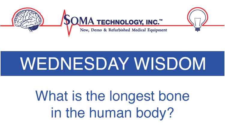 what is the longest bone in the body - Soma Technology