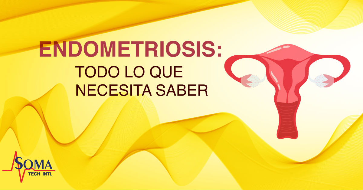 Endometriosis Todo Lo Que Necesita Saber Equipo Médico Nuevo Usado Y Reacondicionado 9252